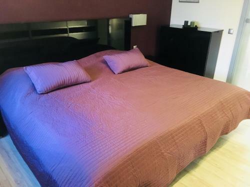 Apartament Ala