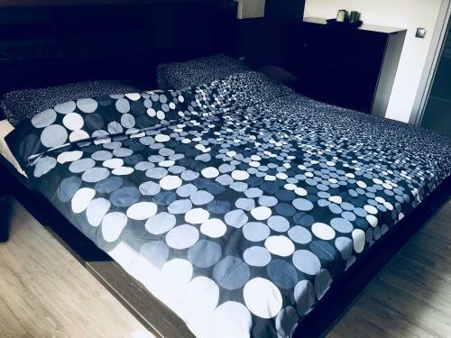 Apartament Ala