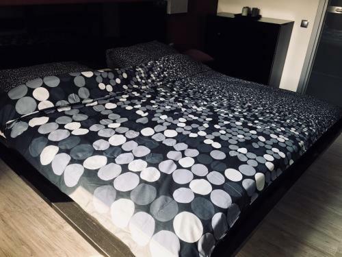 Apartament Ala