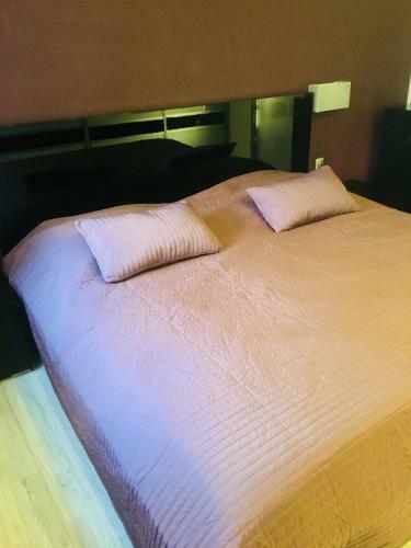Apartament Ala