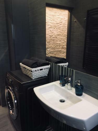 Apartament Ala