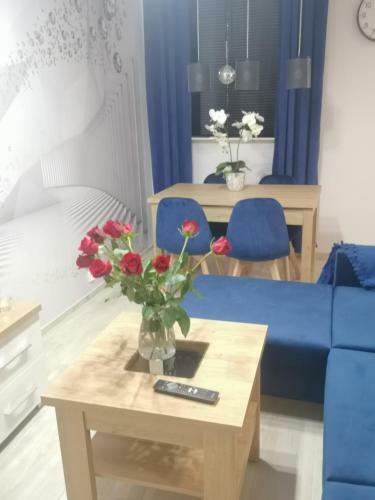 Apartamento Apertament Kosmos