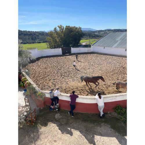 Casa Rural Finca de Las Encarnaciones Bajas