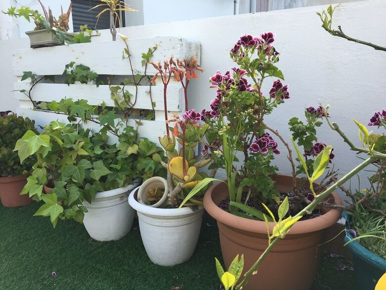 Casa El Rinc�n De La Geltr�