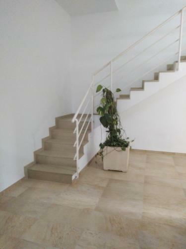 Apartamento Espigall
