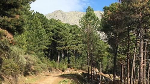 La Calleja