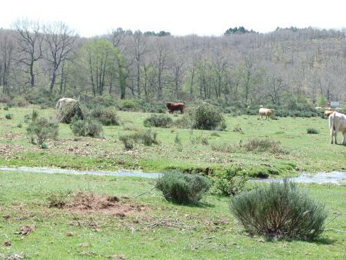 Agroturismo Hotel Rural - La Osa Mayor - 4 Estrellas
