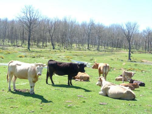 Agroturismo Hotel Rural - La Osa Mayor - 4 Estrellas
