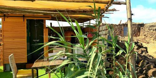 Back To Nature. Luxury Glamping Corner