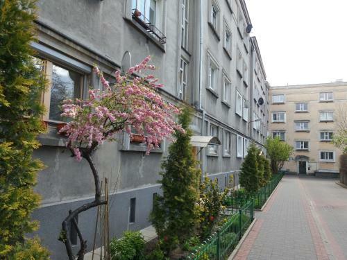 Apartamento Muran�w Studio