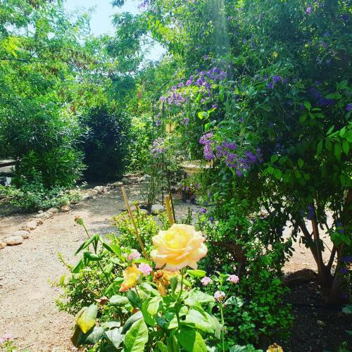 Bed & Breakfast Masia Castellvi