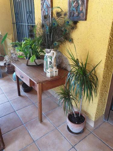 Bed & Breakfast Masia Castellvi