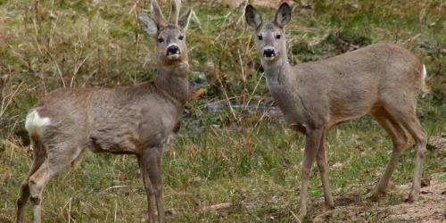 La Casita De Vistabella
