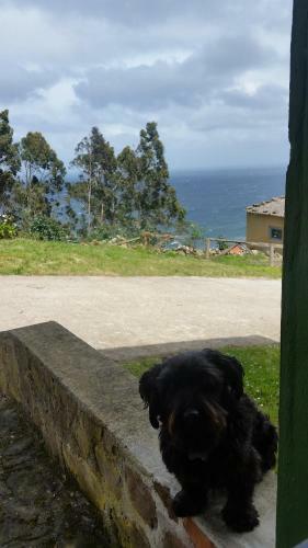 Agroturismo Turismo Rural El Piensu