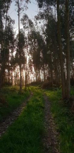 Agroturismo Turismo Rural El Piensu