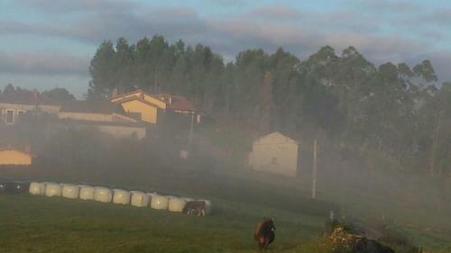 Agroturismo Turismo Rural El Piensu