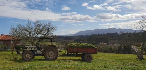 Agroturismo Turismo Rural El Piensu