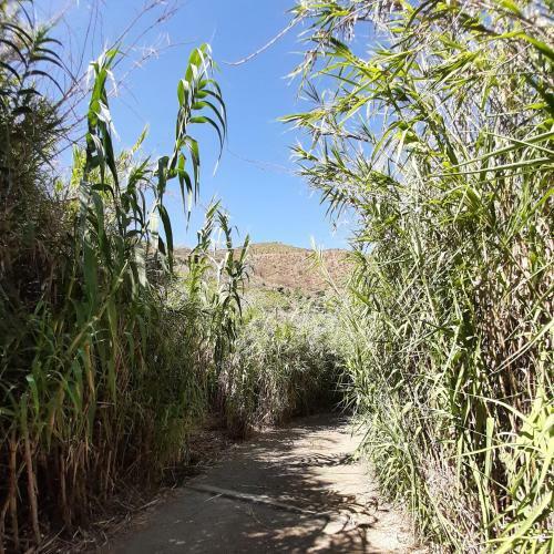 Adobe Getaway With 'private Plunge Pool'