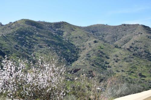 Villa Cerro Gus