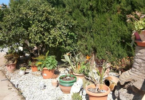 Chalet Ramon