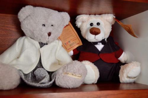 Apartament Wzg�rze S?owik�w