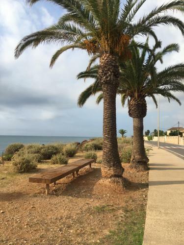 Apartamento Avinguda De Pau B�jar