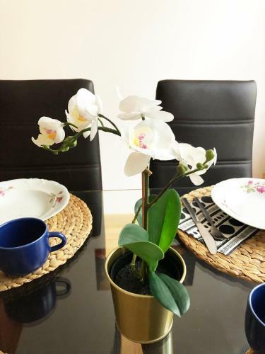 Apartamento Sienna 93 - Cozy Studio By Homeprime
