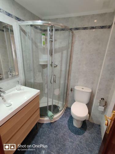 Apartamento Gasteiz Etxea Il