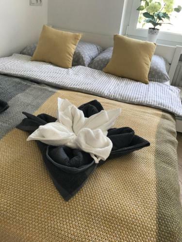 Apartament Kapita?ski W?adys?awowo