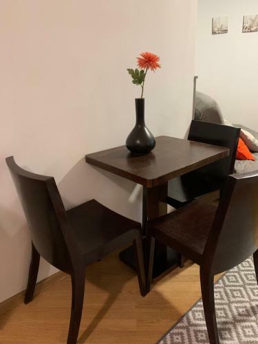 Apartament Patio