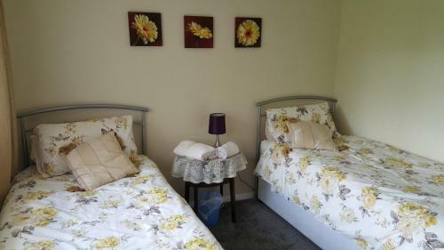 Bed & Breakfast Steve's Place