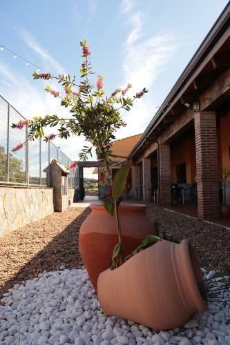 Agroturismo El Coto
