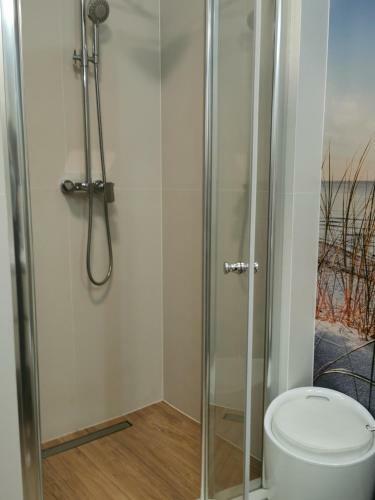 Apartamenty Zofia