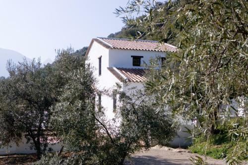 Finca La Sutilas