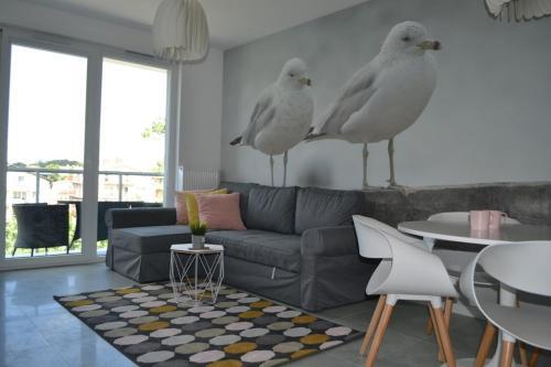 Apartamento Stella Del Mare 4