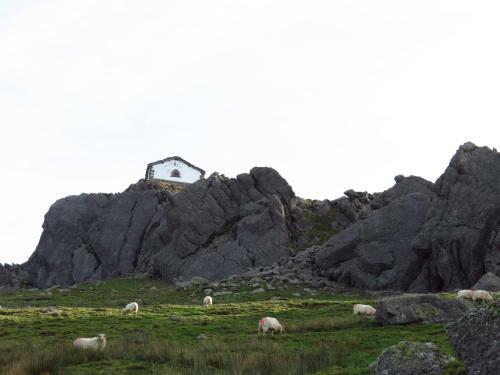 Agroturismo Albergue Olasenea Aterpea