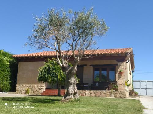 Refugio Con Casitas Infantiles