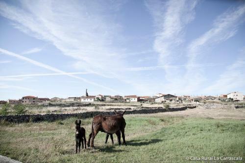 Casa Rural La Carrascala