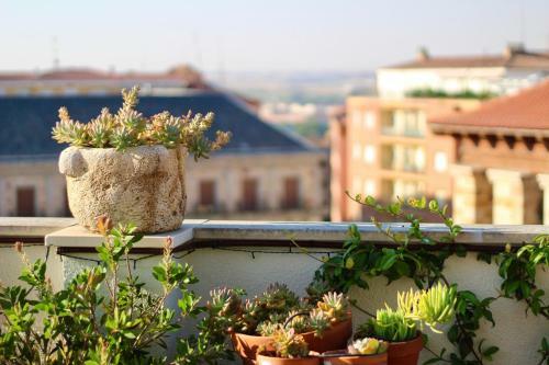 Apartamento El Mirador De Zamora