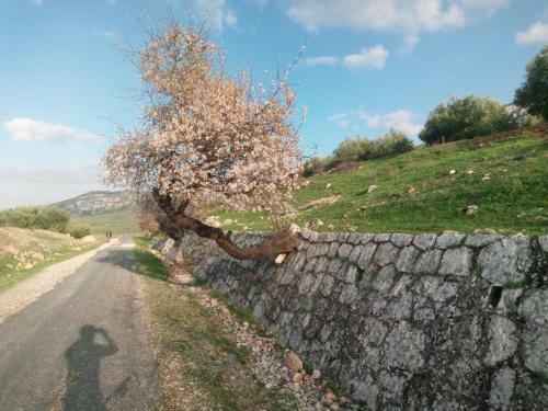 Agroturismo El Hechizo Del Bail�n