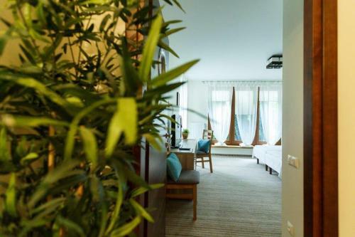 Bed & Breakfast Willa Vela
