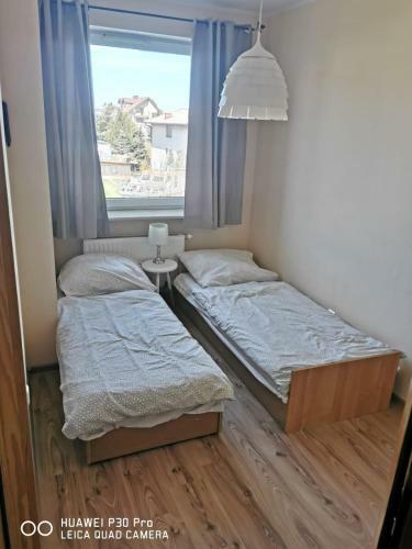 Apartament Ster