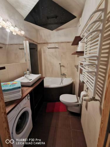 Apartament Ster