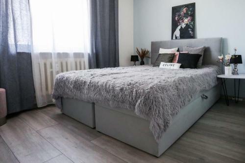 Apartament Zara