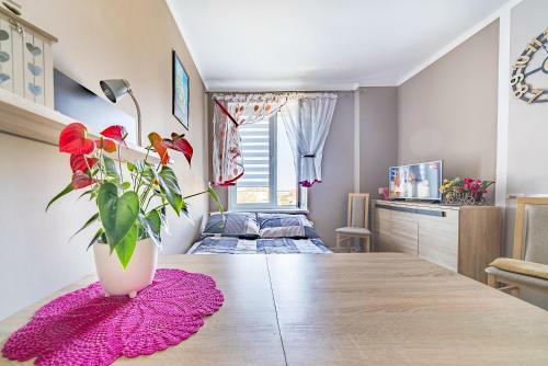 Apartament Tosia