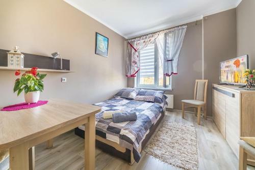 Apartament Tosia