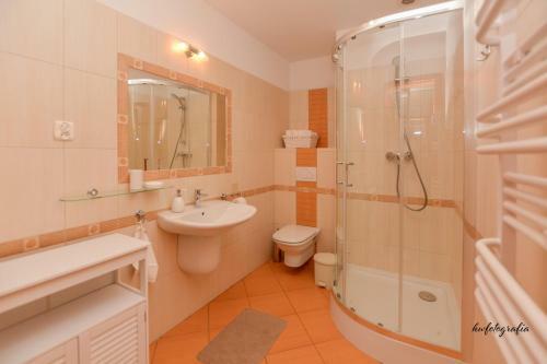Apartament Alex