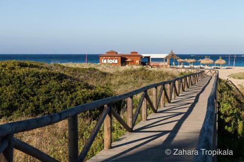 Apartamento Zahara Tropikala