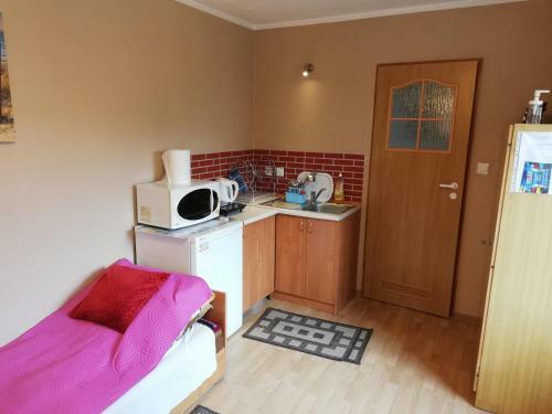 Apartamento Domki U Marty-studio-pokoj Gabi