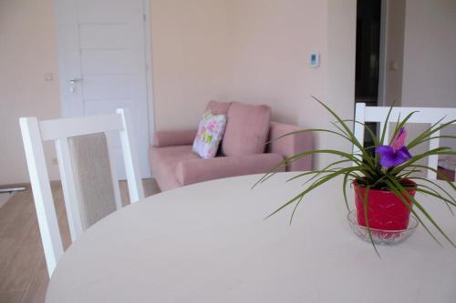 Apartamento Ja? I Ma?gosia